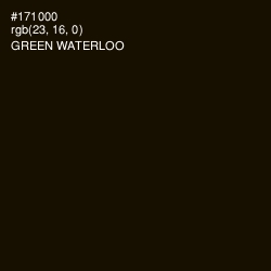 #171000 - Green Waterloo Color Image